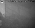 Capi_Dubne_20250520_015003.jpg
