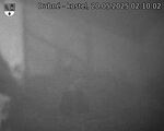 Capi_Dubne_20250520_021002.jpg