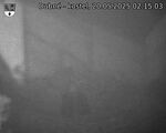 Capi_Dubne_20250520_021503.jpg