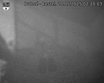 Capi_Dubne_20250520_022003.jpg