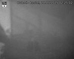 Capi_Dubne_20250520_022502.jpg