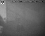 Capi_Dubne_20250520_023003.jpg