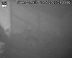 Capi_Dubne_20250520_032502.jpg