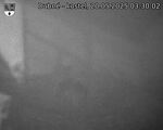 Capi_Dubne_20250520_033002.jpg