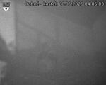Capi_Dubne_20250520_040503.jpg