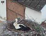 Capi_Dubne_20250520_075504.jpg