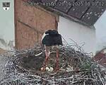 Capi_Dubne_20250520_080002.jpg