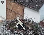 Capi_Dubne_20250520_100503.jpg