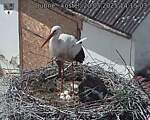 Capi_Dubne_20250520_141503.jpg
