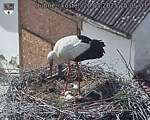 Capi_Dubne_20250520_150503.jpg