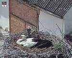 Capi_Dubne_20250520_151003.jpg