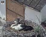 Capi_Dubne_20250520_152003.jpg