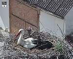 Capi_Dubne_20250520_152503.jpg