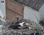 Capi_Dubne_20250520_153503.jpg