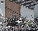 Capi_Dubne_20250520_154003.jpg