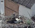 Capi_Dubne_20250520_154503.jpg