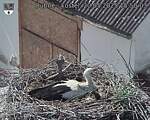 Capi_Dubne_20250520_155003.jpg