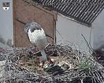 Capi_Dubne_20250520_155503.jpg