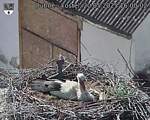 Capi_Dubne_20250520_160002.jpg