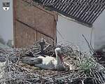 Capi_Dubne_20250520_160502.jpg