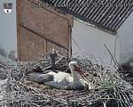 Capi_Dubne_20250520_161003.jpg
