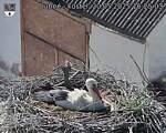 Capi_Dubne_20250520_162503.jpg