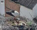 Capi_Dubne_20250520_164003.jpg