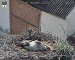 Capi_Dubne_20250520_170003.jpg