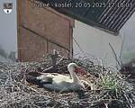 Capi_Dubne_20250520_171003.jpg