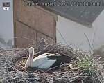 Capi_Dubne_20250520_185003.jpg
