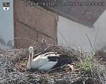 Capi_Dubne_20250520_190003.jpg