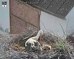 Capi_Dubne_20250520_192503.jpg