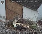 Capi_Dubne_20250520_194003.jpg