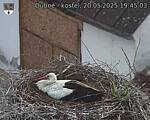 Capi_Dubne_20250520_194503.jpg