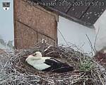 Capi_Dubne_20250520_195003.jpg