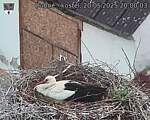 Capi_Dubne_20250520_200003.jpg