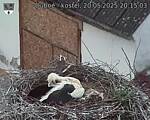 Capi_Dubne_20250520_201503.jpg