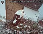 Capi_Dubne_20250520_203503.jpg