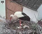 Capi_Dubne_20250520_204003.jpg