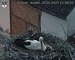 Capi_Dubne_20250520_210003.jpg