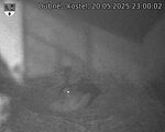 Capi_Dubne_20250520_230002.jpg