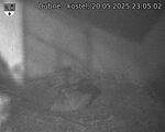 Capi_Dubne_20250520_230502.jpg