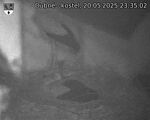 Capi_Dubne_20250520_233502.jpg