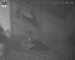 Capi_Dubne_20250520_234002.jpg