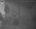 Capi_Dubne_20250520_234503.jpg