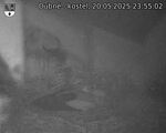 Capi_Dubne_20250520_235502.jpg