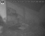 Capi_Dubne_20250521_000003.jpg