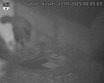 Capi_Dubne_20250521_000503.jpg