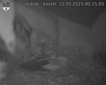 Capi_Dubne_20250521_001503.jpg