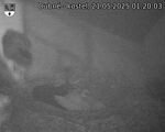 Capi_Dubne_20250521_012003.jpg